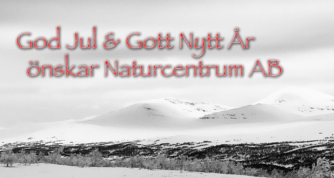 Naturcentrum önskar God Jul och ett Gott Nytt År