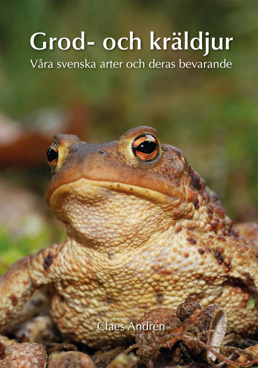 Claes Andréns grod- och kräldjursepos – nu lössläppt