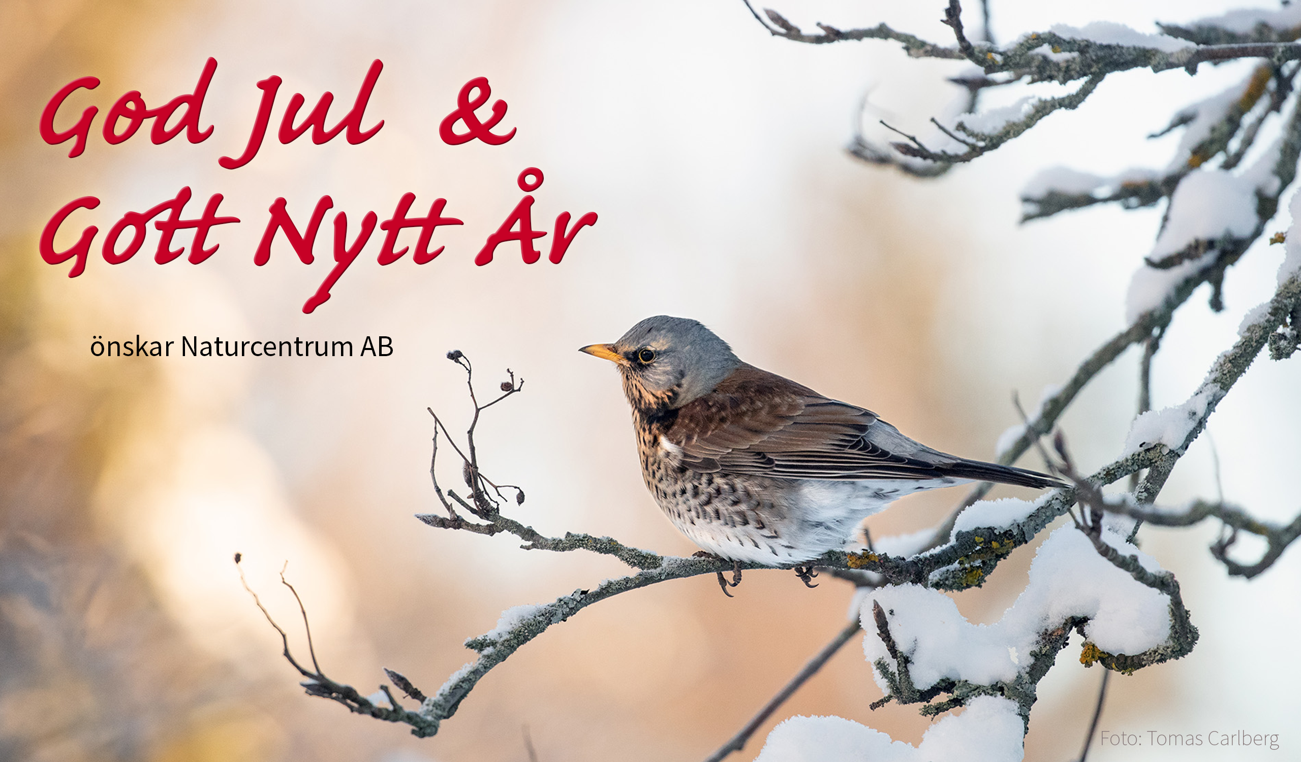 Naturcentrum önskar alla en God Jul och ett Gott Nytt År