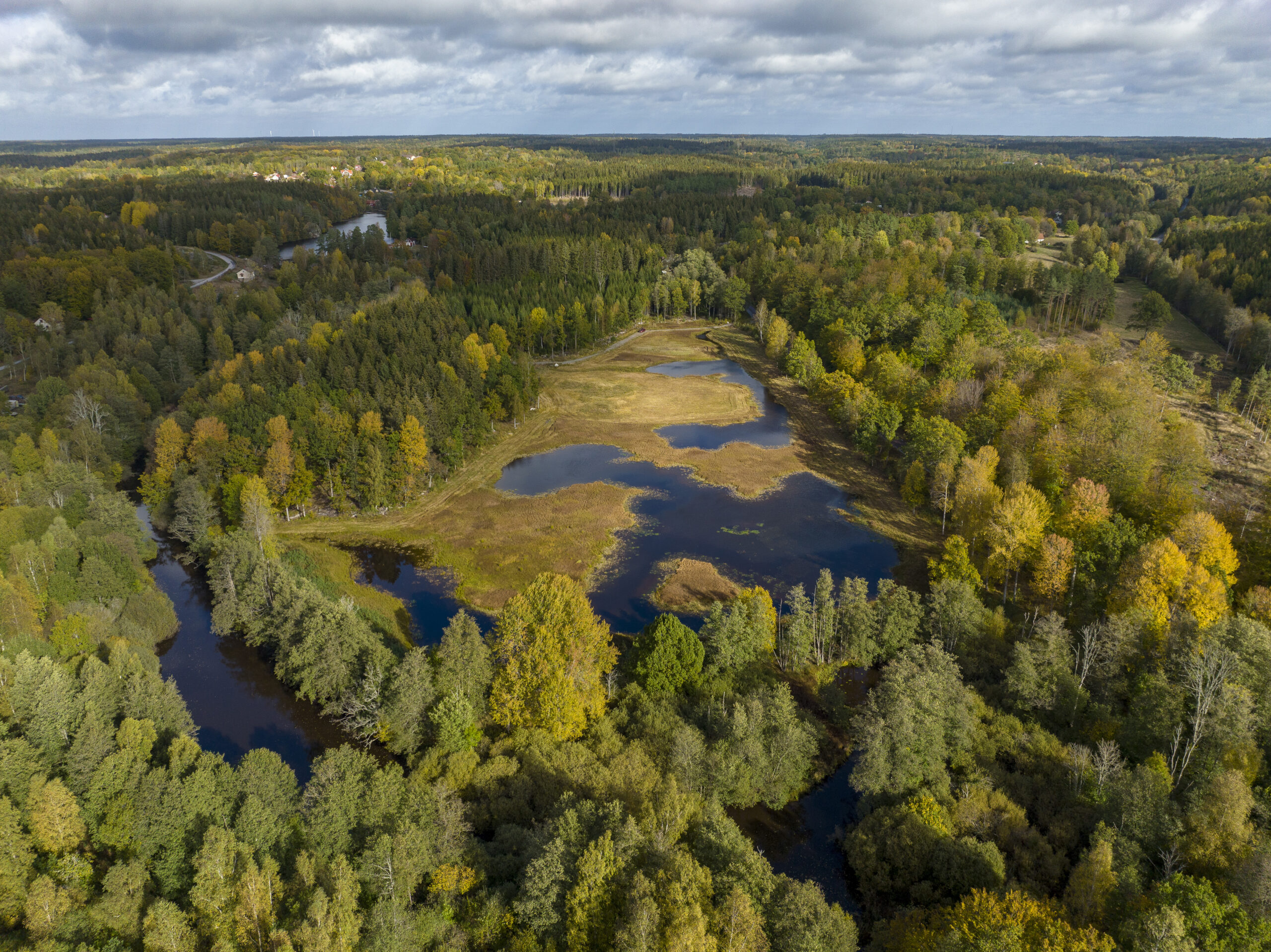 Restaurering och skötsel