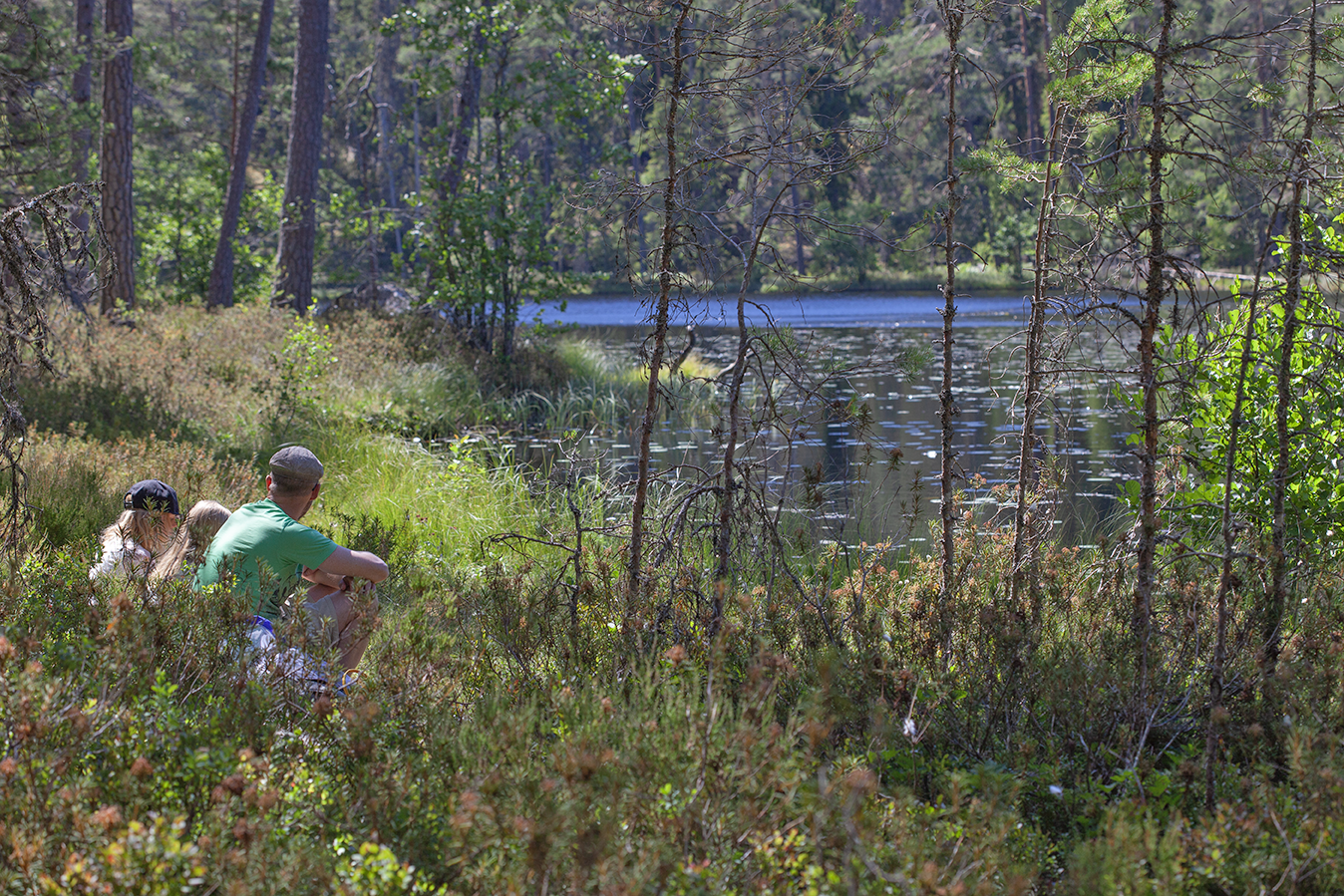 Foto som visar ryggarn på två barn och en vuxen som sitter i strandkanten till en liten skogssjö kantad av tallskog.