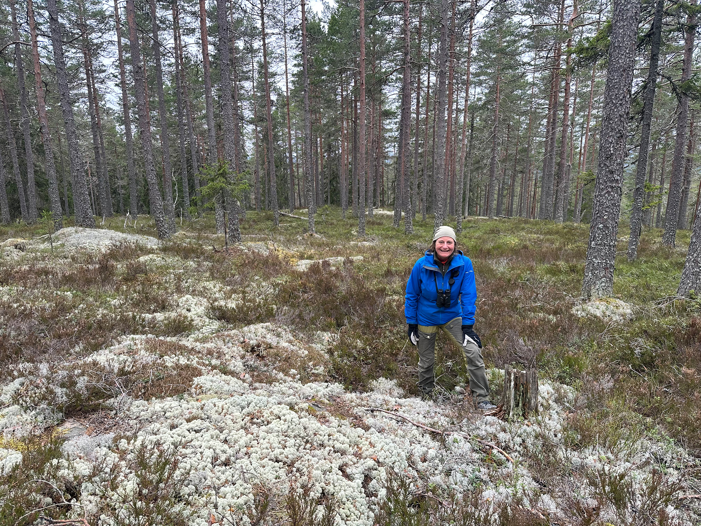 Ett foto som visar en person i blå jacka som står i en öppen yta i en tallskog, där marken är klädd av lavar och ris.