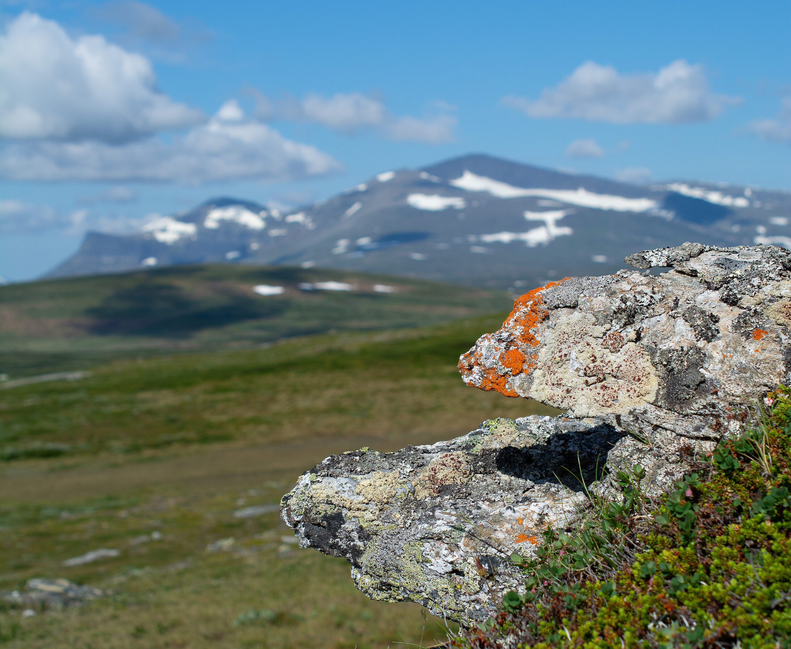 Foto som visar en utskjutande block klätt mer lavar i orangea, grågröna och mörkgrå färger. I bakgrunden skymtar ett fjällandskap mer delvis snöklädda toppar.